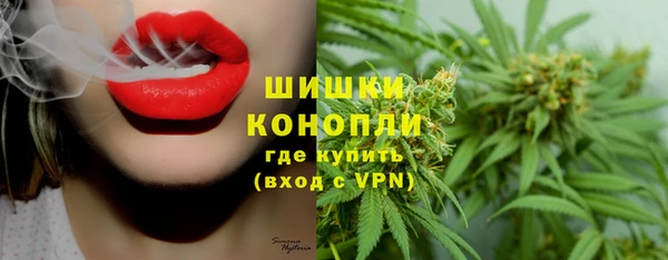ПСИЛОЦИБИНОВЫЕ ГРИБЫ Богородск