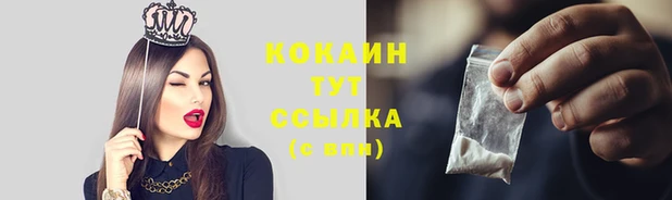 ПСИЛОЦИБИНОВЫЕ ГРИБЫ Богородск