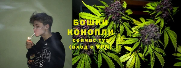 ПСИЛОЦИБИНОВЫЕ ГРИБЫ Богородск