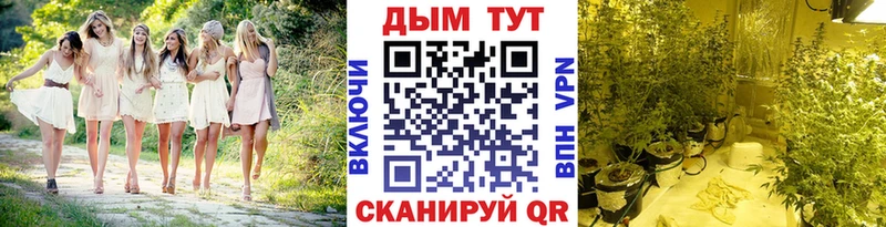 Каннабис Bruce Banner  Артём 